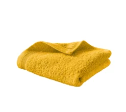CARRE UNI CURRY